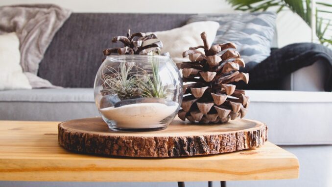 clear fishbowl beside pine cones on brown wooden table