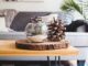 clear fishbowl beside pine cones on brown wooden table